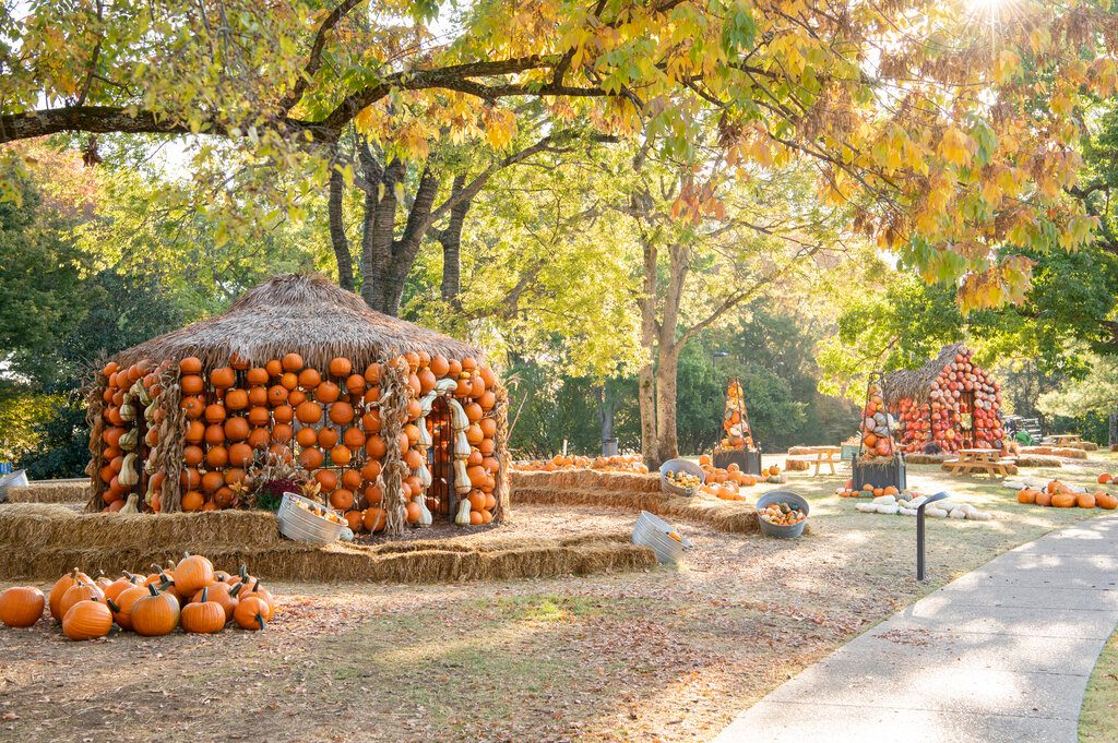 Pumpkin houses and hay bales in the Pumpkin Village at Cheekwood Harvest