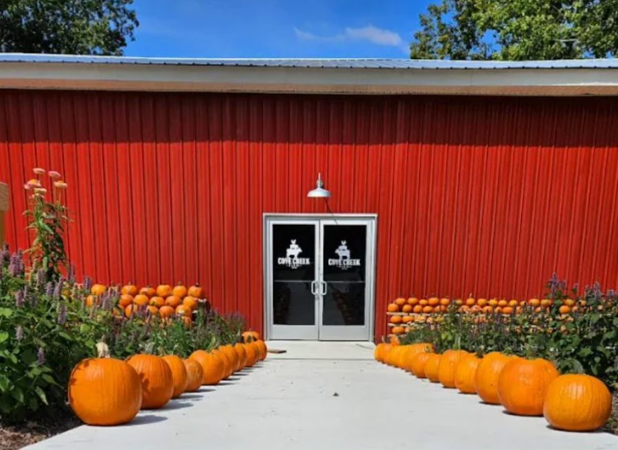 Cove Creek Farm store with pumpkins lining the walk