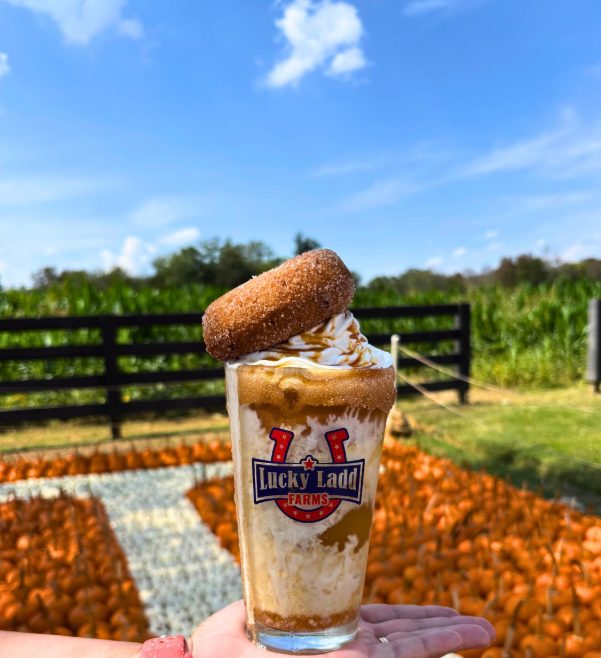 Lucky Ladd Farms cider float with an apple cider donut