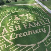Nash Family Creamery corn maze from the air