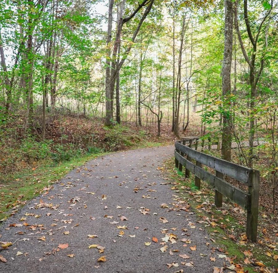 Leaf-covered trail at Tims Ford State Park