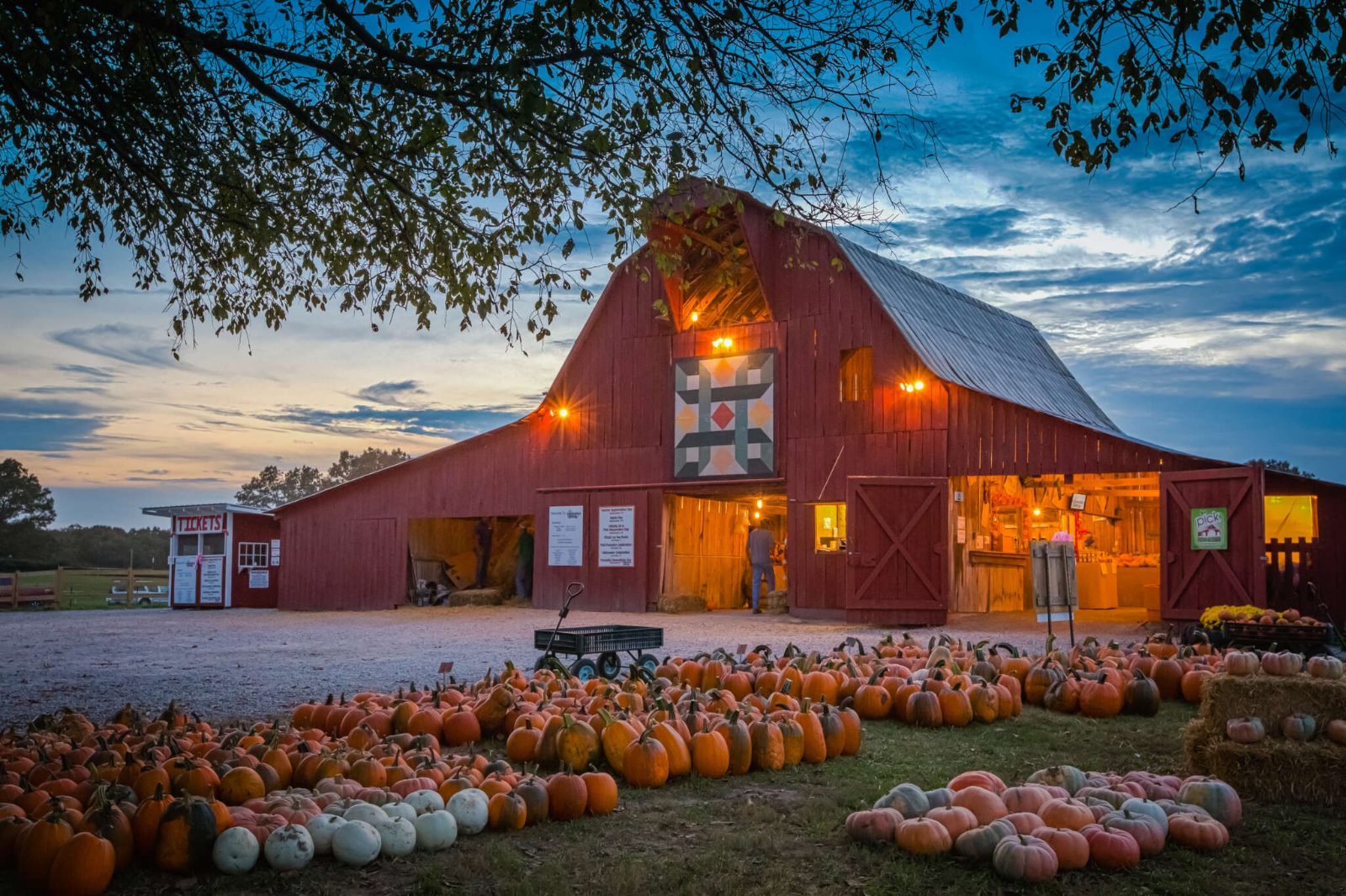 The Big Red Barn at dusk, surrounded by pumpkins