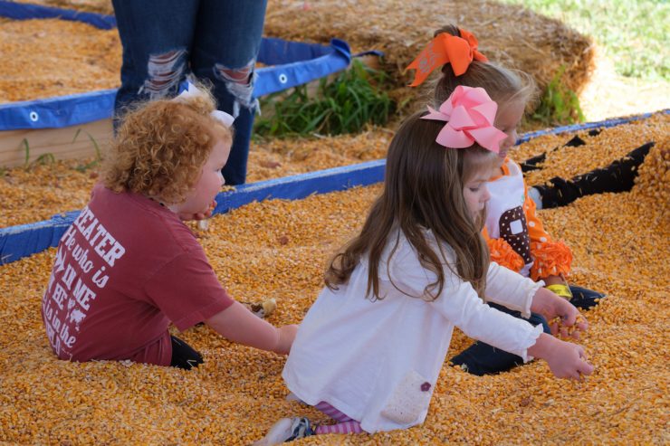 Toddlers playing in the corn boxes