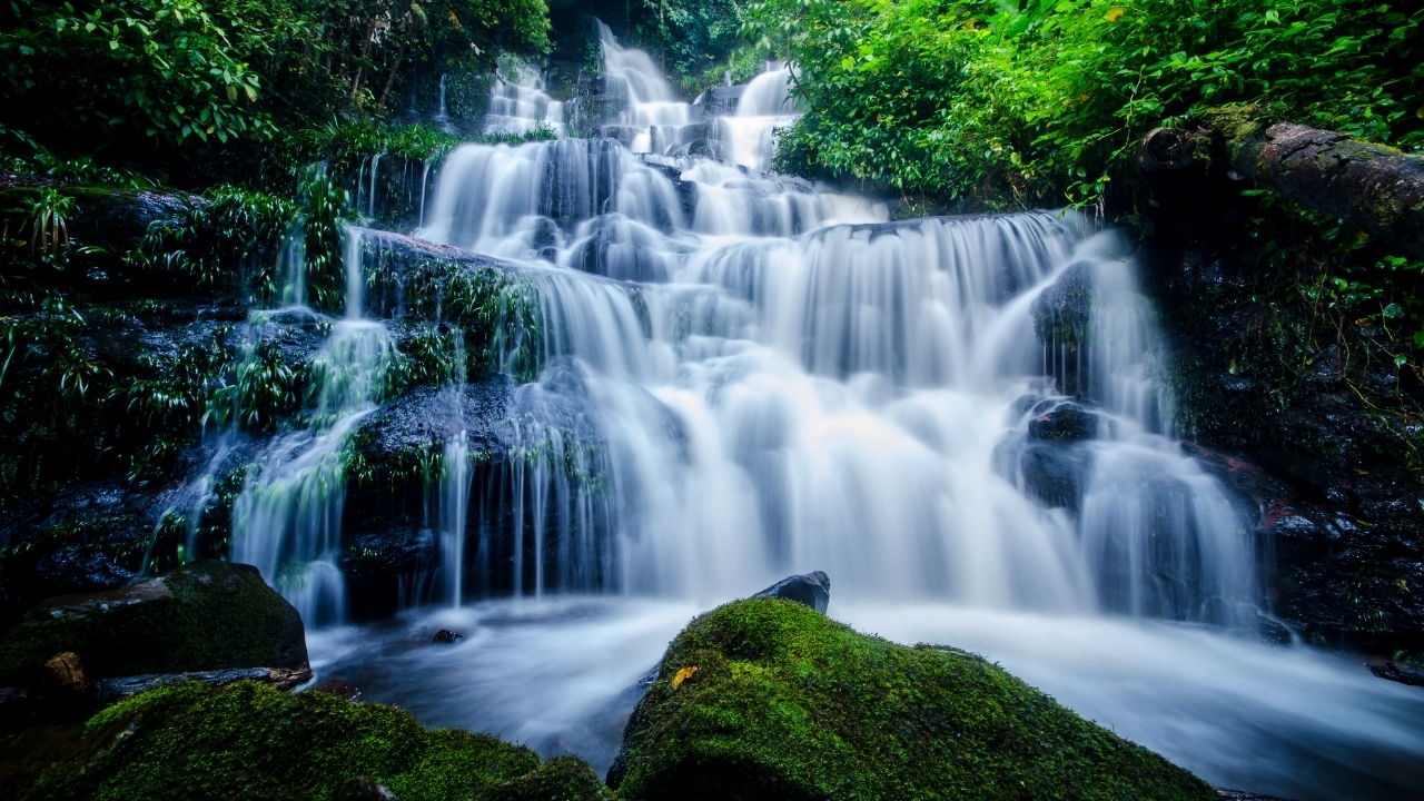 A lush cascading waterfall surrounded by green woods